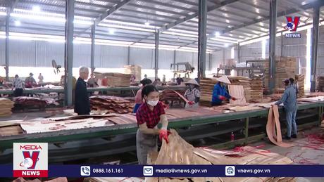 Nhiều sản phẩm có nguy cơ áp dụng biện pháp phòng vệ thương mại 