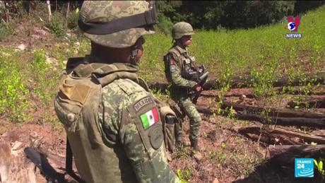 Đường dây nóng 389 ngày 11/10/2023