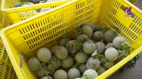 Hỗ trợ pháp lý: Những lưu ý pháp lý cho doanh nghiệp trong hoạt động xuất khẩu khi hàng hóa bị trả về