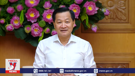 Chủ động cân đối cung - cầu