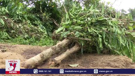 Làm rõ nguyên nhân và khắc phục hậu quả sự cố vỡ đập thủy điện Ia Glae 2