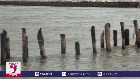 Cà Mau cấp bách phòng, chống sạt lở bờ sông, bờ biển