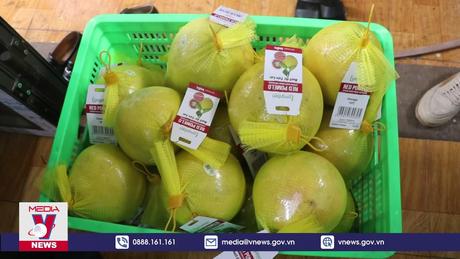 New Zealand sắp nới lỏng kiểm dịch với chanh, bưởi Việt Nam