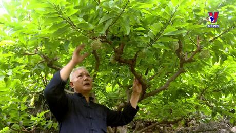 Khoa học & Công nghệ: Máy thu gom rơm rạ mang lại lợi ích cho người nông dân