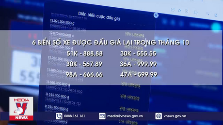 Hủy kết quả đấu giá biển số 32 tỷ vì không nộp đủ tiền
