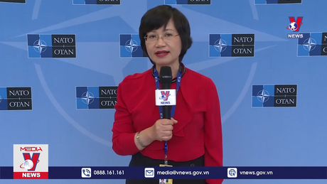 Bản tin thời sự 8h ngày 12/10/2023