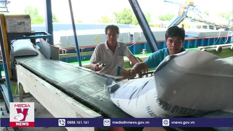 Indonesia nhập khẩu thêm 1,5 triệu tấn gạo từ Việt Nam và Thái Lan