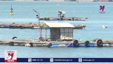 Bản tin Thời sự 17h ngày 13/10/2023