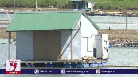 Nhiều hộ dân nuôi cá lồng tự phát trên vùng biển Nghi Sơn