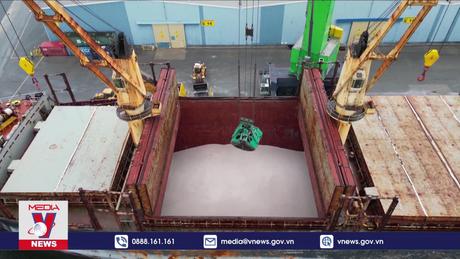 Nga tự tin về triển vọng xuất khẩu ngũ cốc