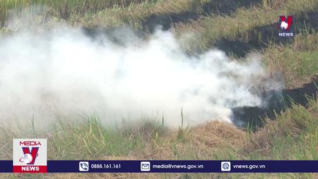 Đốt rơm rạ - lợi bất cập hại 