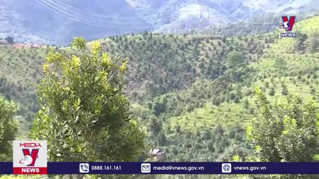 Điện Biên nâng cao chất lượng các sản phẩm OCOP 