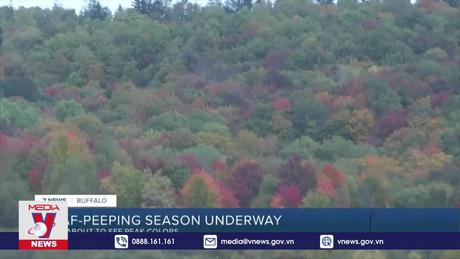 Ứng xử văn minh trên không gian mạng