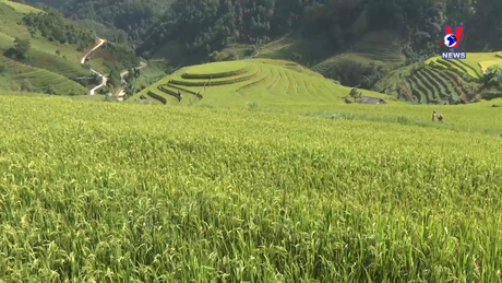 Văn hóa toàn cảnh ngày 15/10/2023