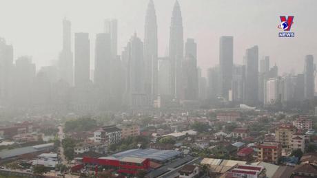 Cuộc sống xanh ngày 15/10/2023