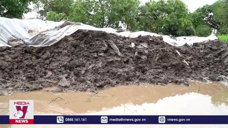 Công trình dở dang, nhiều diện tích bị triều cường uy hiếp