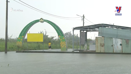 Tan hoang vùng rau xanh Đà Nẵng