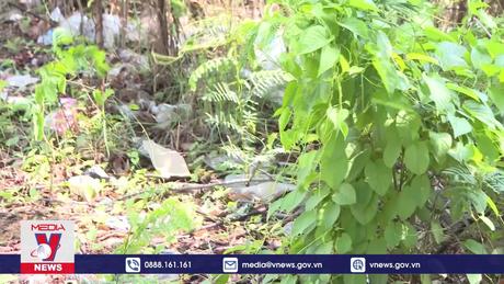 Lào ghi nhận hơn 30.000 ca sốt xuất huyết