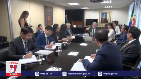 Việt Nam và Brazil thúc đẩy hợp tác hệ thống Tòa án