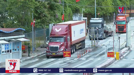 Xúc tiến thương mại, đầu tư Việt Nam - Trung Quốc (Trùng Khánh)