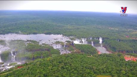 Việt Nam với bạn bè quốc tế: Việt Nam - Argentina: 50 năm đồng hành cùng phát triển