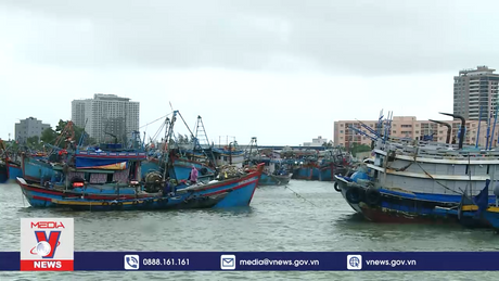 Đảm bảo an toàn cho tàu thuyền neo đậu mùa mưa bão