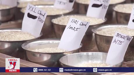 Ấn Độ duy trì mức giá sàn xuất khẩu đối với gạo basmati