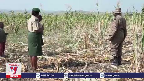 Anh cảnh báo công dân sau vụ tấn công tại công viên ở Uganda