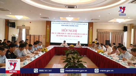 Công tác chống buôn lậu thuốc lá và đường cát khu vực Miền Trung và Tây Nam Bộ 