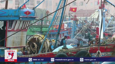 Tập trung ứng phó bão và mưa lũ