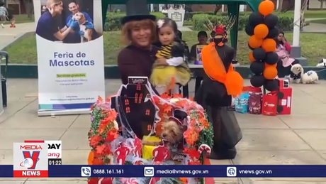 Cuộc thi hoá trang chào đón Halloween