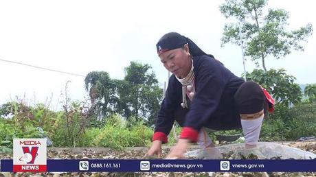 Nhận diện: Học và làm theo gương Bác từ đời sống đến công việc