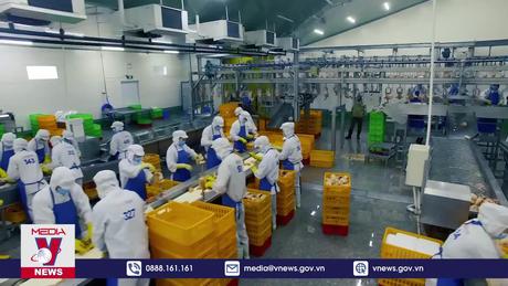 1.000 doanh nghiệp nộp thuế lớn nhất năm 2022