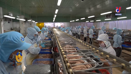 Hỗ trợ pháp lý: Doanh nghiệp xuất khẩu hải sản gặp khó