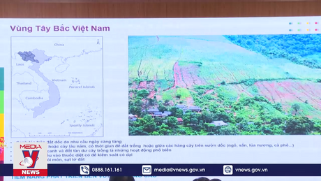 Nông lâm kết hợp để phát triển bền vững