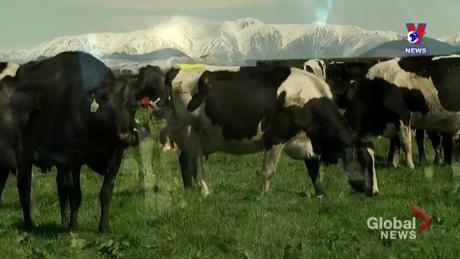 Tương lai Xanh ngày 19/10/2023