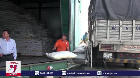 170 thương nhân đủ điều kiện kinh doanh xuất khẩu gạo