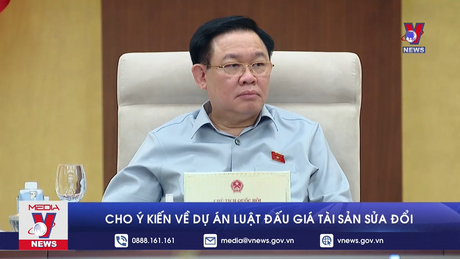 Cho ý kiến về dự án Luật Đấu giá tài sản sửa đổi