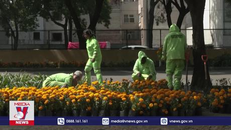 Sắc cam ngập tràn Mexico trước thềm Lễ hội của người chết