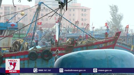 Chủ động ứng phó với gió mạnh trên biển