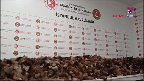 Đường dây nóng 389 ngày 21/10/2023