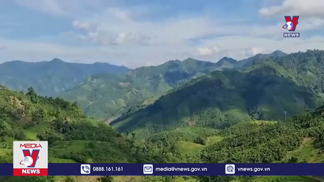 Những mô hình kinh tế mới của đồng bào Mông 