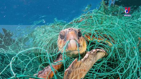 Cuộc sống xanh ngày 22/10/2023