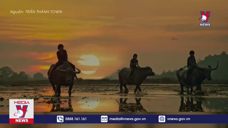 Đất rừng phương Nam - Chuyển thể hay lấy cảm hứng? 