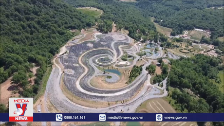 Biến đồng cỏ thành tuyệt tác của Van Gogh