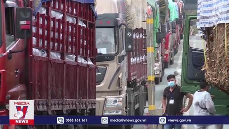 Đề xuất 6 nhóm chính sách trong xây dựng Luật Khu công nghiệp, khu kinh tế