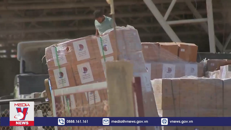 WFP cảnh báo tình hình khó khăn tại Gaza