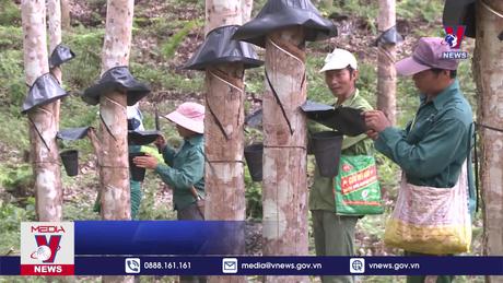 Bản tin thời sự 21h ngày 23/10/2023