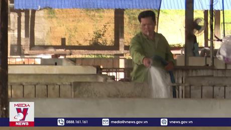 Kon Tum khắc phục ô nhiễm ở lò giết mổ tập trung