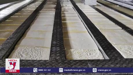 Xuất khẩu cao su đạt gần 1,9 tỷ USD